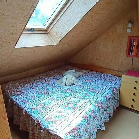 Orman Evi U Ceskych Budejovic
