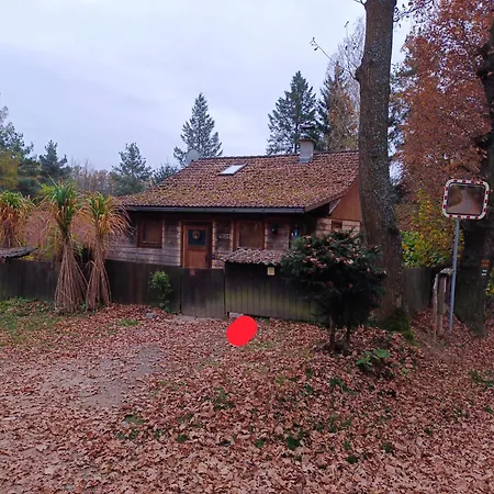 Orman Evi U Ceskych Budejovic *