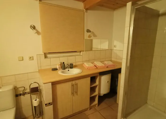 Orman Evi U Ceskych Budejovic *